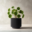 Black cylindrical 3D printed planter with vertical ribbed grooves.