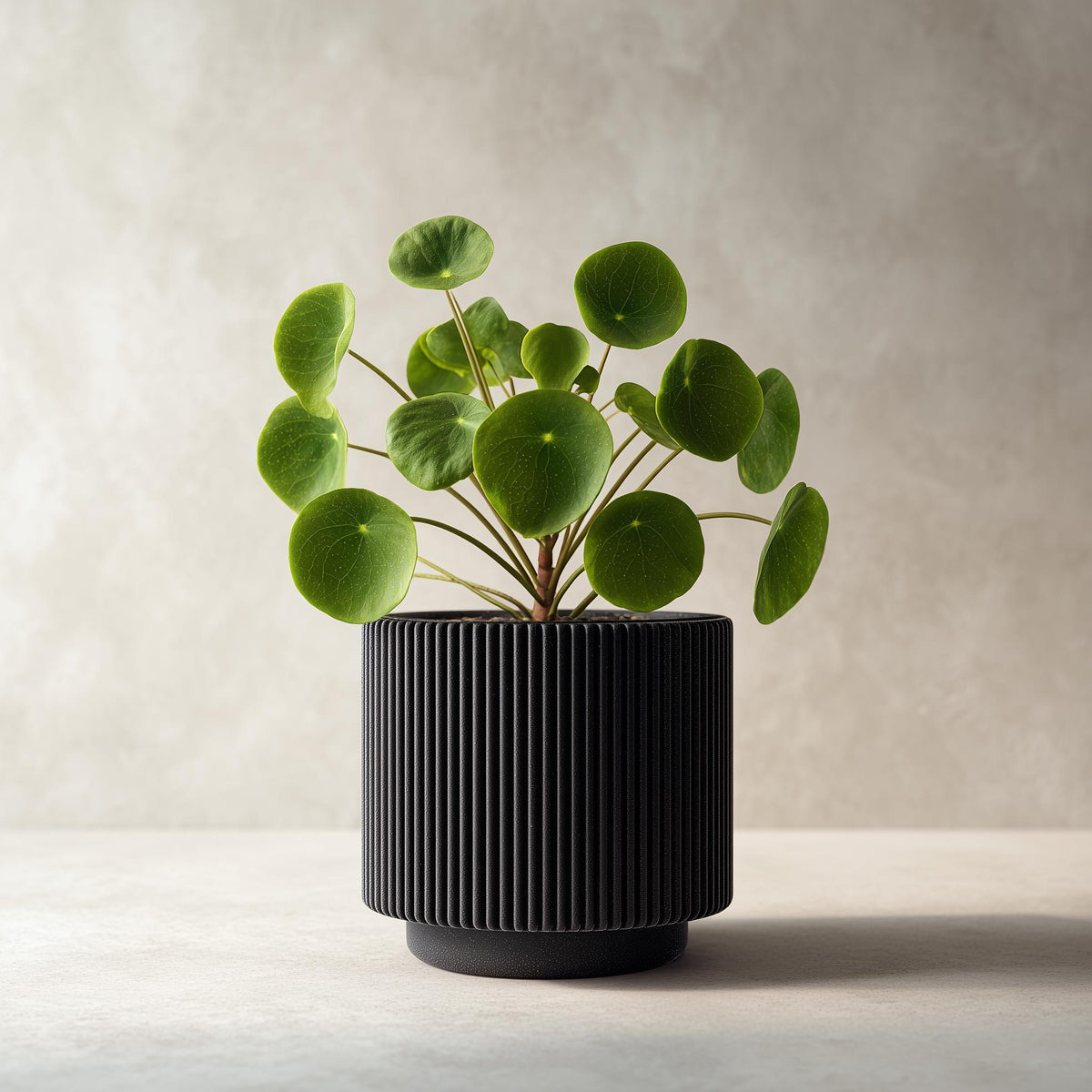 Black cylindrical 3D printed planter with vertical ribbed grooves.