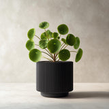 Black cylindrical 3D printed planter with vertical ribbed grooves.