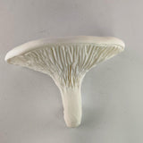 Additional product detail of 3D Printed Organic Mushroom Wall Shelf.