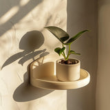 Rounded 3D printed wall shelf with a curved frame holding a small potted plant.