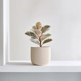 Product gallery view of 3D Printed Japanese Style Planter.