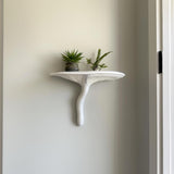 3D Printed Artist's Conk Mushroom Wall Shelf shown in the product image.