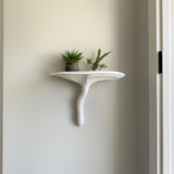 Additional product detail of 3D Printed Artist's Conk Mushroom Wall Shelf.