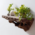 Brown 3D printed floating wall shelf with realistic root texture.