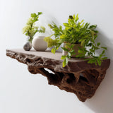 Brown 3D printed floating wall shelf with realistic root texture.