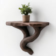Small brown wall-mounted shelf with a twisted vine-like base holding a potted plant.