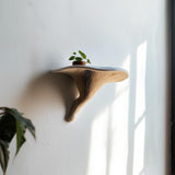 Additional product detail of 3D Printed Galerina Mushroom Shelf.