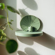Pastel green 3D printed frog wall shelf with a round ledge and lily-pad-inspired backplate.
