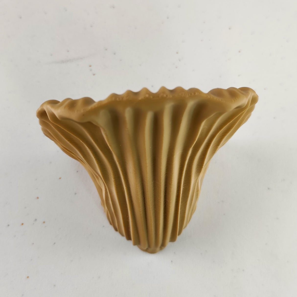Additional product view of 3D Printed Artist's Conk Shelf.