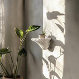Additional product detail of 3D Printed Artist's Conk Shelf.