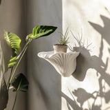 Alternate product presentation of 3D Printed Artist's Conk Shelf.