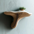 3D printed fungi wall shelf with a curved mushroom cap and detailed gill texture beneath the ledge.