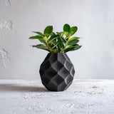Additional product view of 3D Printed Geometric Dry Flower Vase.