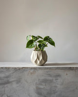 3D Printed Geometric Faceted Planter shown in the product image.