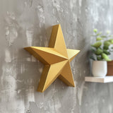 3D printed star-shaped wall decor with minimalist geometric design, made from matte PLA plastic.