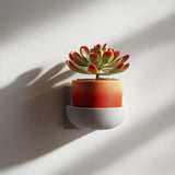 3D printed mug-style flowerpot shelf in gray, holding a small plant in a colorful pot.