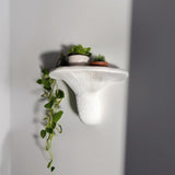 Additional product view of 3D Printed Layered Mushroom Wall Shelf.
