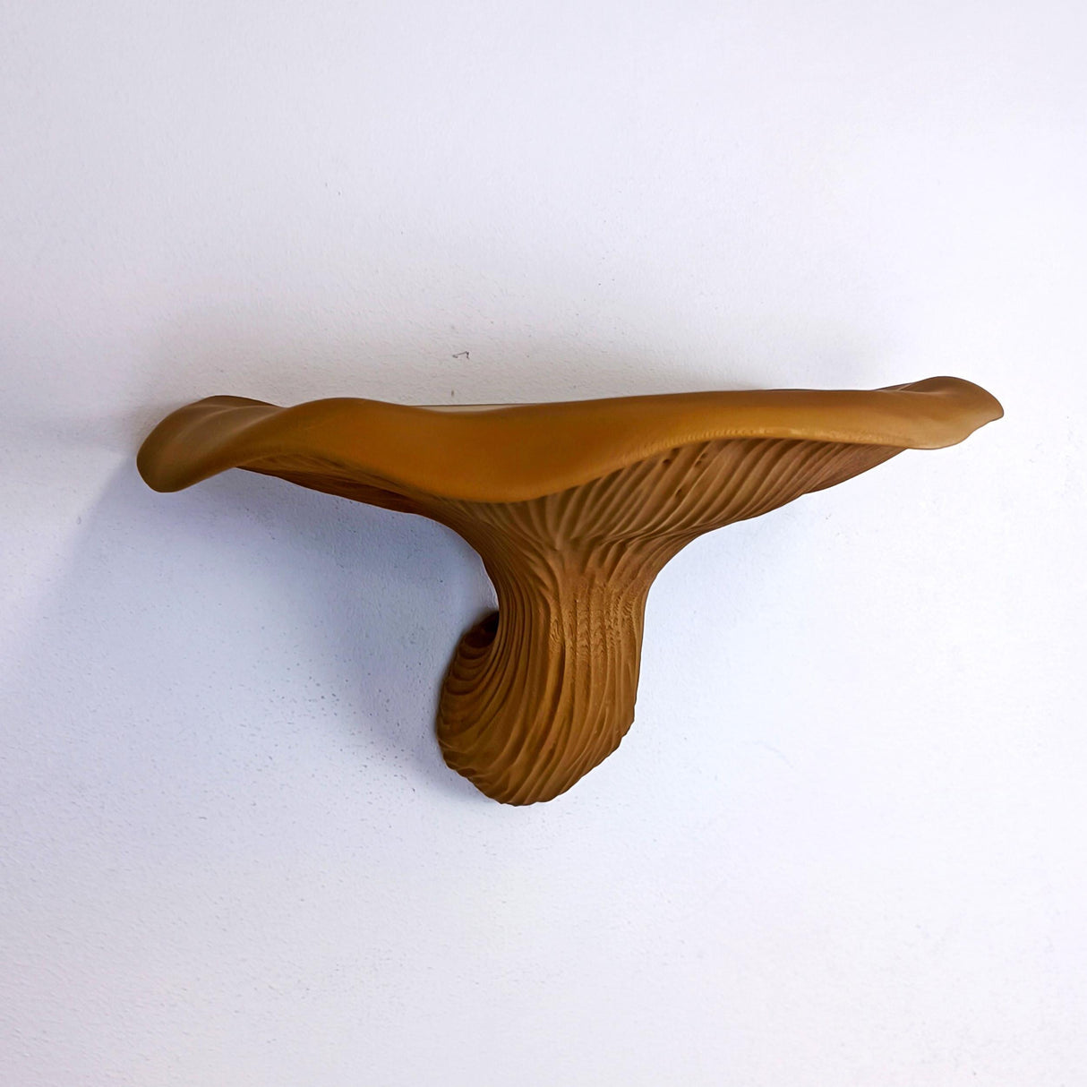 Product detail view of 3D Printed Fungi Wall Shelf.