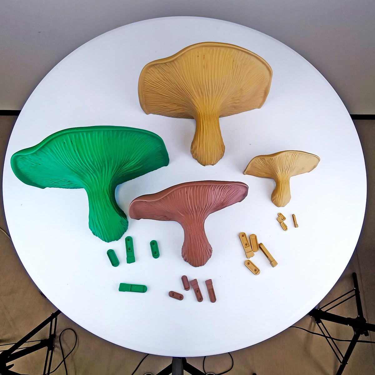 Product presentation view of 3D Printed Fungi Wall Shelf.
