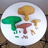 Product presentation view of 3D Printed Fungi Wall Shelf.