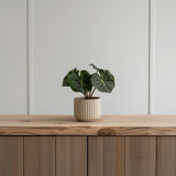 3D Printed Ribbed Indoor Planter shown in the product image.