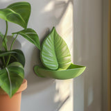Additional product view of 3D Printed Botanical Leaf Wall Shelf.