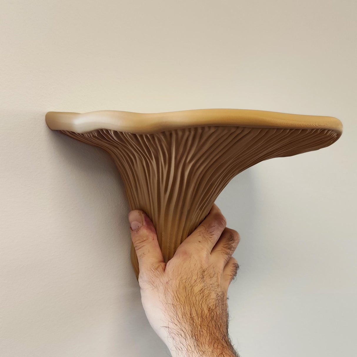 Product detail view of 3D Printed Mushroom Wall Shelf.