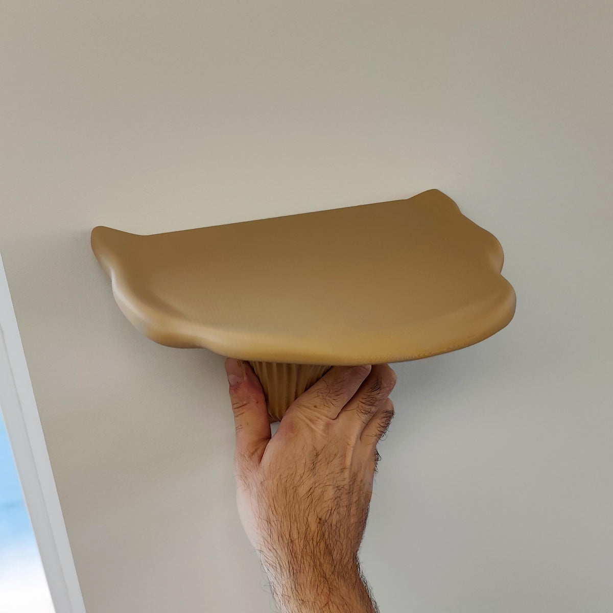 Product presentation view of 3D Printed Mushroom Wall Shelf.