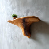 Additional product presentation of 3D Printed Mushroom Wall Shelf.