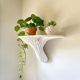 3D Printed Galerina Mushroom Wall Shelf shown in the product image.