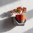 3D printed geometric wall shelf holder in gray, holding a red and black plant pot with succulents.