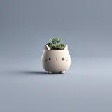 3D Printed Cat Planter shown in the product image.