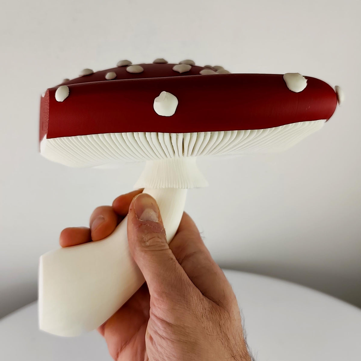 3D Printed Toadstool Wall Shelf shown in the product image.
