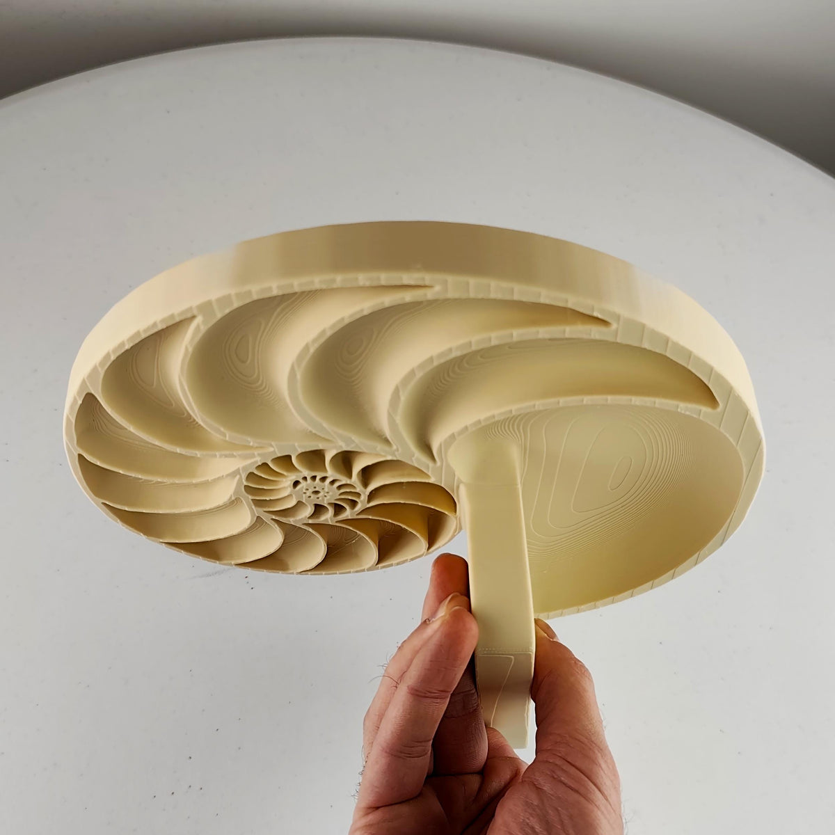 Alternate product display of 3D Printed Nautilus Spiral Wall Shelf.