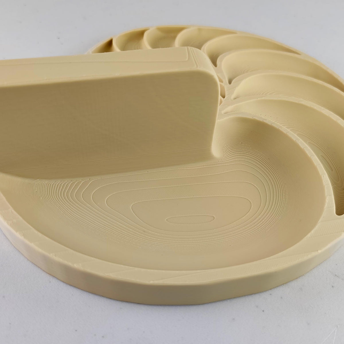 Alternate gallery view of 3D Printed Nautilus Spiral Wall Shelf.