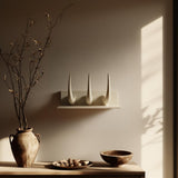 Alternate product view of 3D Printed Spiked Horn Wall Shelf.