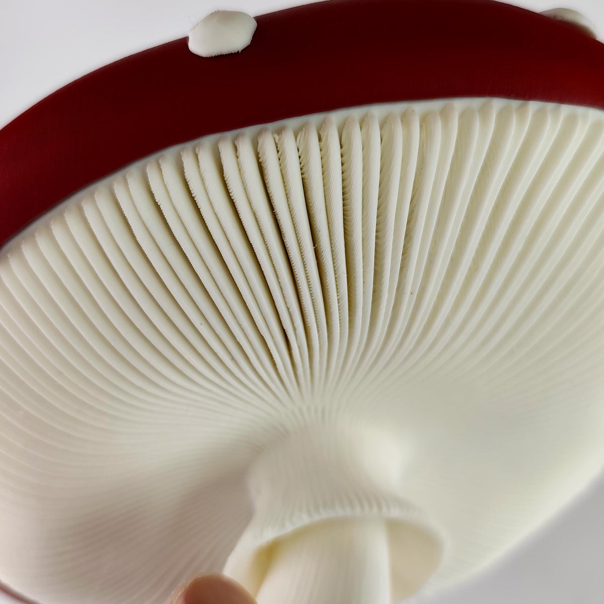 Additional product presentation of 3D Printed Toadstool Wall Shelf.