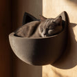 3D printed cat-ear wall bed with rounded bowl platform and raised ear backrest