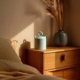Alternate product view of Cat Pet Memorial Urn.