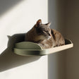 3D printed minimal cat wall bed with curved open floating platform