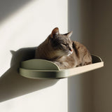 3D printed minimal cat wall bed with curved open floating platform