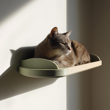 3D printed minimal cat wall bed with curved open floating platform