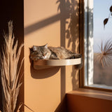 Alternate product view of 3D Printed Curved Cat Wall Shelf Bed.