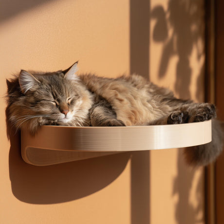 3D printed curved cat wall bed with wide floating platform and raised edges