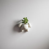 Alternate product view of 3D Printed Puppy Wall Planter.