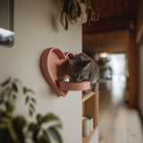 Alternate product view of 3D Printed Heart Wall-Mounted Pet Bowl Holder.