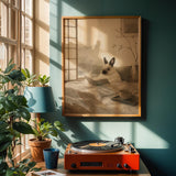 Alternate product view of Himalayan Rabbit Reading in Bed Poster.