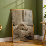 Additional product detail of Silkie Guinea Pig Reading in Bed Poster.