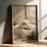 Product presentation view of Silkie Guinea Pig Reading in Bed Poster.